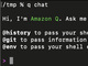 JҌAIuAmazon Q Developerv́uCLIG[WFgvŉłH