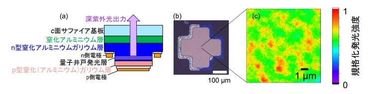 左図が深紫外LEDの断面構造概略図、中図がp側電極平面像、右図がLEDを点灯させて観察した顕微発光像 (クリックで拡大) 出典:東北大学他