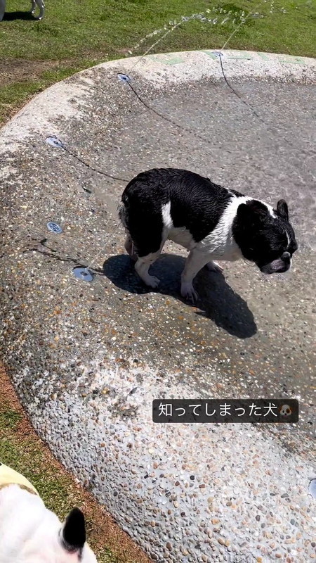 錢