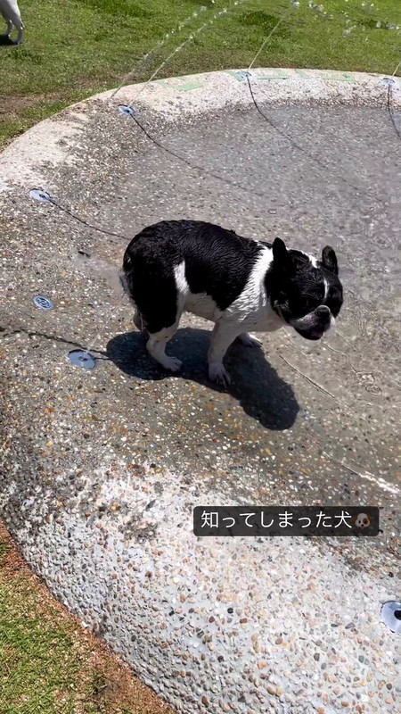 KɂĂ錢