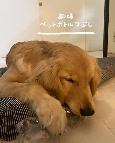 ͂Ȃ