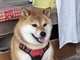/nl/articles/2505/18/news015.jpg